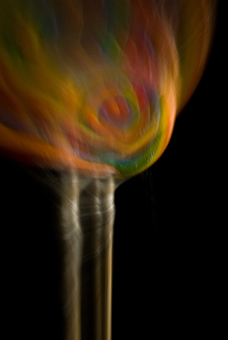 Illustration for article titled Zoom Photo Challenge Gallery 1